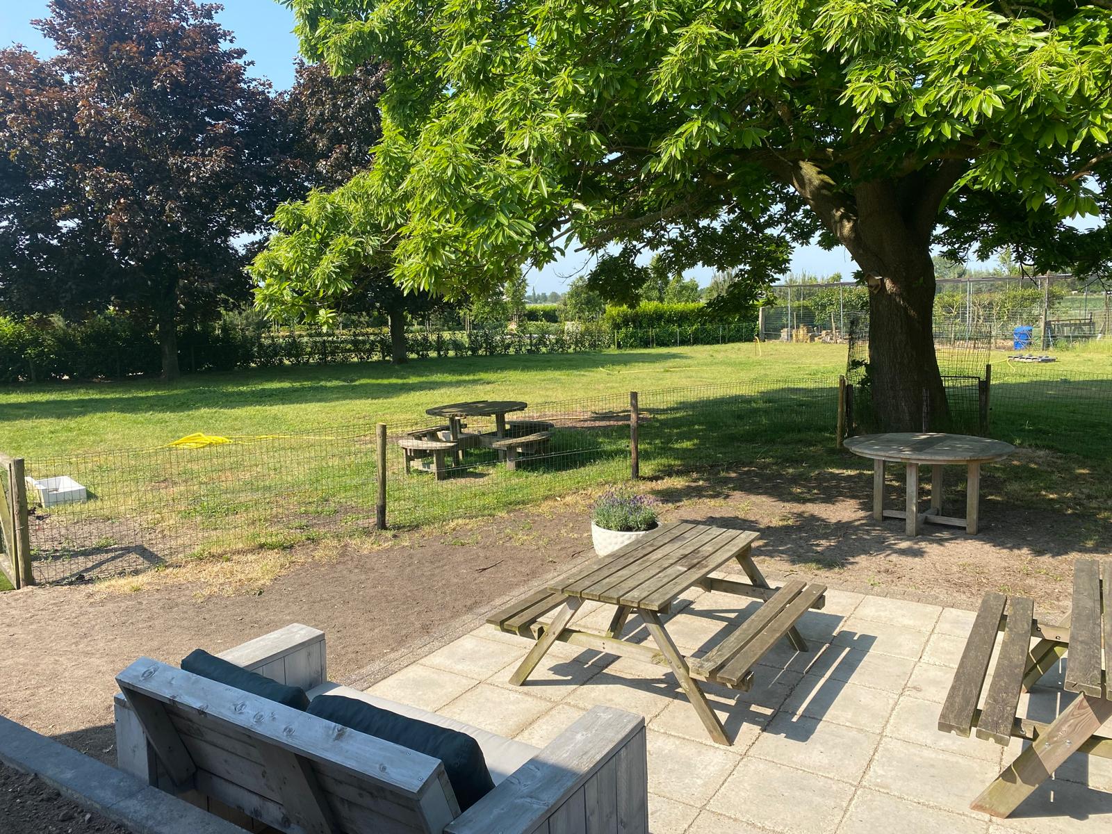 Terras en tuin met picknicktafels